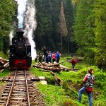 private tours in romania mocanita